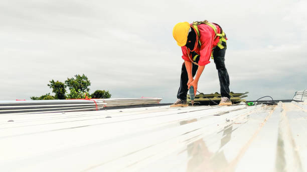 Best Roof Ventilation Installation  in Perth Amboy, NJ